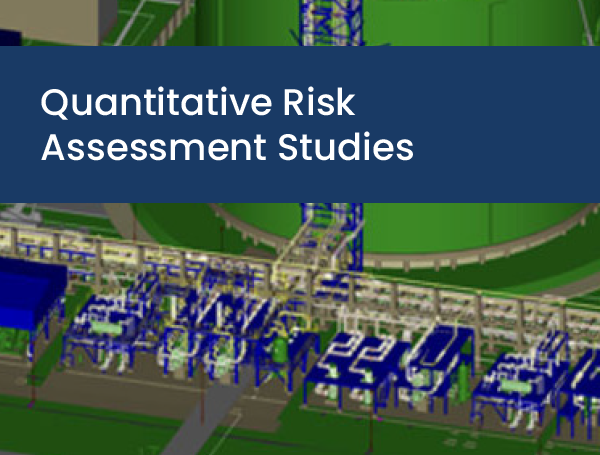 Quantitative Risk Assessment Studies